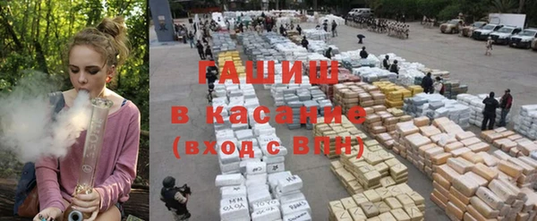 крисы Алзамай